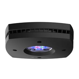 Marine Addict - AI Prime 16 HD LED Reef Light - Black